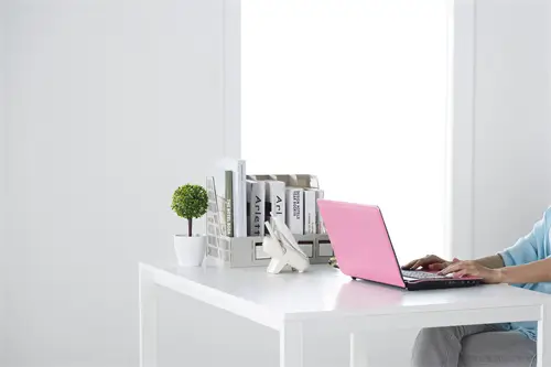 东辰学校招生范围