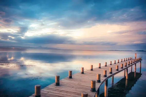 临沂财政学校招生