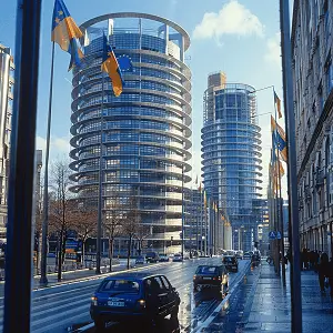 半月湾小学招生条件