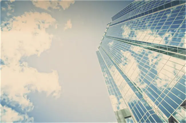 东莞沃顿学校招生电话